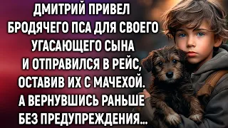 Дмитрий привел бродячего пса для своего угасающего сына и отправился в рейс, оставив их с мачехой