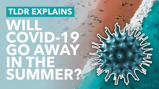 Will Coronavirus Go Away in the Summer? - TLDR News