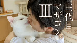 mama's boy cat, which has been viewed 2 million times, has become even more powerful.