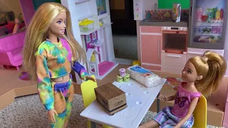 Barbie and the Cats vs Pickles: Pranksters