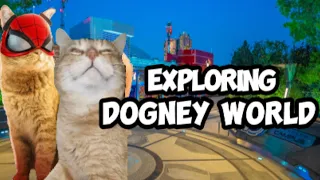 CAT MEMES: EXPLORING DOGNEY WORLD