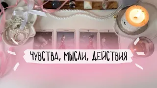 🪽4 короля: чувства, мысли и действия. Перспектива отношений. Таро расклад