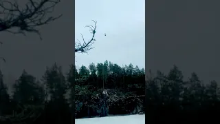 Slackline walk || above frozen lake #adventure # slackline #lake #risk