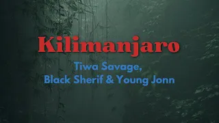 Tiwa Savage Kilimanjaro ft. Black Sherif & Young Jonn (lyrics video)