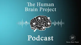 HBP Podcast Ep. 3 - Cognitive neuroscience and AI: An Interview with Rainer Goebel