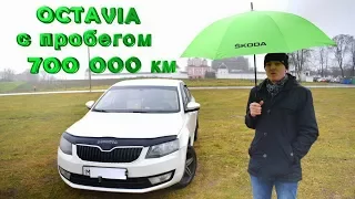 Кантри тест-драйв Skoda Octavia (Шкода Октавия) A7