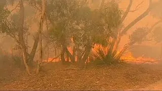 Bozóttűz pusztít Ausztráliában