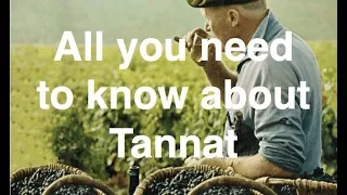 All you need to know about Tannat