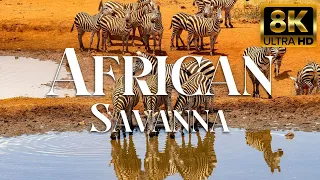 4K African Savanna: Lower Zambezi National Park | Scenic Wildlife Film With Real Sounds
