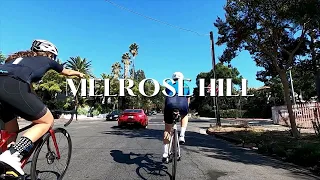 MELROSE  HILL