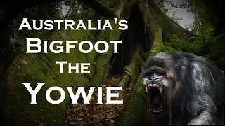 Bigfoot in Australia. The Yowie. Marathon_40