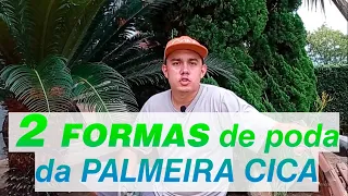 2 FORMAS DE PODAR A PALMEIRA CICA