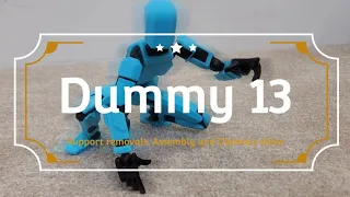 3D Printed Dummy 13 Articulated Figure