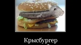 GTA Criminal Russia #1 Крысбургер