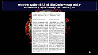 Omicronsubvariante BA-5 schädigt Kardiomyozyten stärker