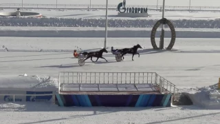 Московский ипподром. Бега. 05.02.17. Заезд 3(45). ПРИЗ ИМЕНИ ПРИЛЕПСКОГО КОННОГО ЗАВОДА