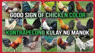 😮 GOOD SIGNS OF CHICKEN GAMEFOWL COLORS