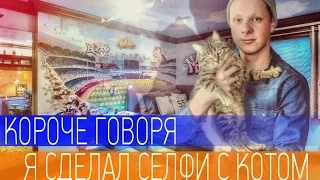 Короче говоря я сделал селфи с котом. | Денис Белик