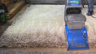 Carpet cleaning a deep white shag rug curb find