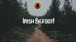 Irish Bigfoot!