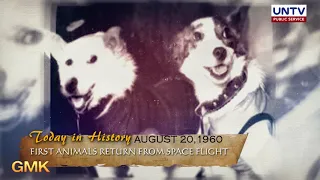 Soviet stray dogs sent to a space flight successfully returned in 1960 | Today in History