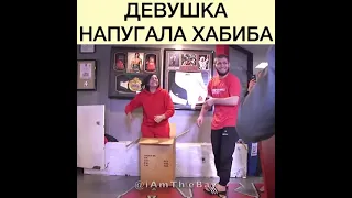 Девушка напугала Хабиба и Ислама