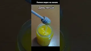 Тизер к видео "За какое время кристаллизуется цветочный мёд" .