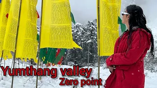 Ep-04 Lachung | 📍yumthang valley | zero point | kitne lucky h hm....🫠| #sikkim #travel #sikkimtour