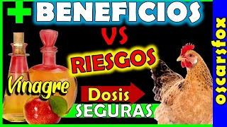 VINAGRE de manzana para GALLINAS👉Dosis ✅Beneficios 🚨 Riesgos, para gallinas y pollos 2022