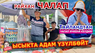 ХИТ болду  /  РАЙХАН ЧАЛАП ичип МАЗЗА КЫЛ  /  Ысыкта адам үзүлбөй жатат