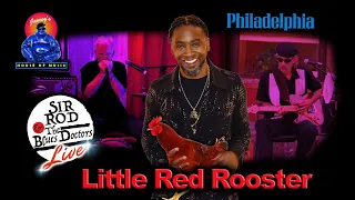 Little Red Rooster – Philadelphia  Live OMG