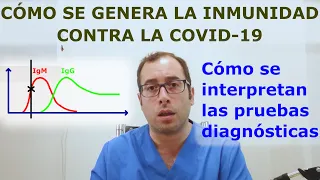 Qué significan las pruebas serológicas del COVID 19 y cómo se desarrolla la respuesta inmunitaria