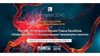 Лекторий 2045 / Павел Балабан / Нейросетевые и молекулярные механизмы памяти