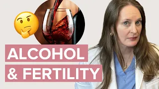 Alcohol And Fertility - Dr Lora Shahine @drlorashahine