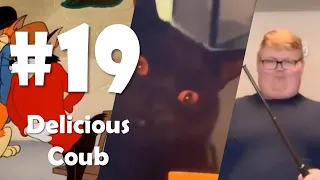 Delicious Coub Compilation # 19