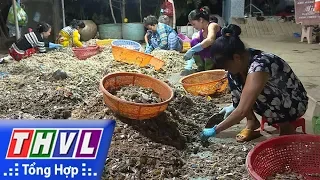 THVL l Nhịp sống đồng bằng: Làng Biển Trăm Năm