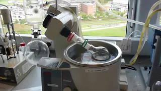 Removing organic solvent with a rotary evaporator