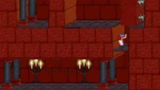 PRINCE OF PERSIA 2 Level (12/16) Classic [ MS-DOS Version ] 12th level - the towers