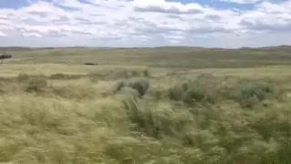 Windy plains