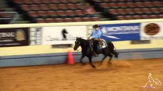 NRHA Derby '14 - Cade McCutcheon and Nifty Starbuck First Go