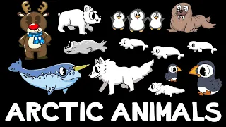 Arctic Animals | Animals for kids | Videos for Toddlers | Picture Show