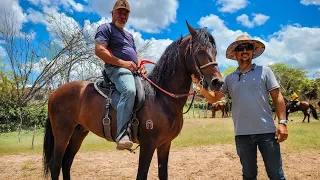 FEIRA DE CAVALO DE GRAVATÁ PE, DOMINGO, 21.01.24 #nordeste