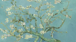 Canvas + Almond Blossom + VIncent Van Gogh 4K
