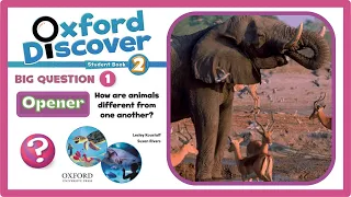 Oxford discover 2 |  Big Question 1 | How are animals different from one another? | Opener