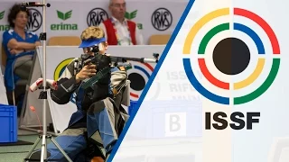 Finals 50m Rifle 3 Positions Men - ISSF World Championship in all events 2014, Granada (ESP)