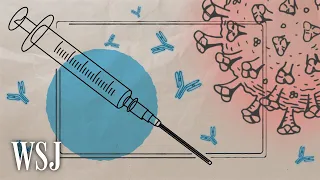 Vaccine Efficacy Numbers, Explained | WSJ
