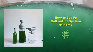 Growing Spirulina at Home - "How to Set Up" (Overview)
