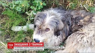 На Київщині чоловік побив собаку та кинув тіло під ноги жінці, яка опікувалась твариною