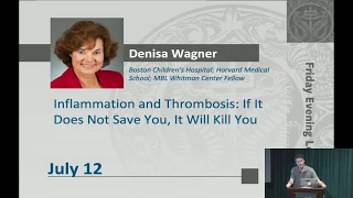 Inflammation and Thrombosis: If it Does Not Save You, it Will Kill You - Denisa Wagner