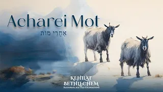 Torah Portion | Acharei Mot - אַחֲרֵי מוֹת | After the Death